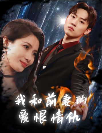 我和前妻的爱恨情仇海报